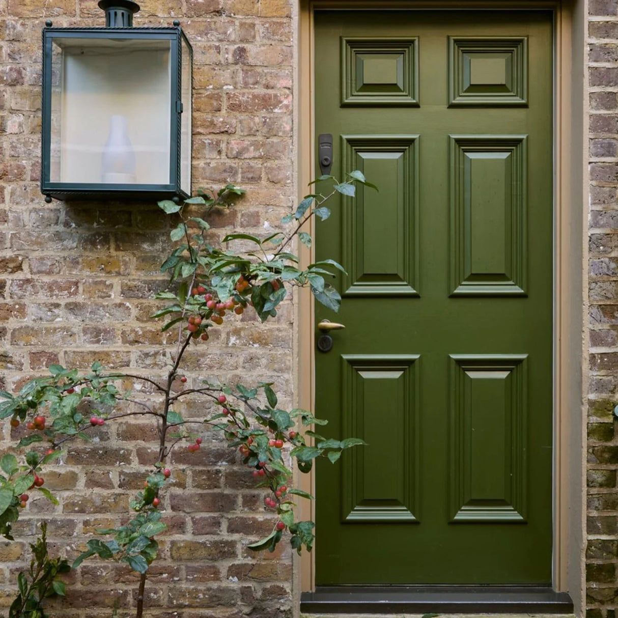 Mylands Caca D'oie BH.15 Paint