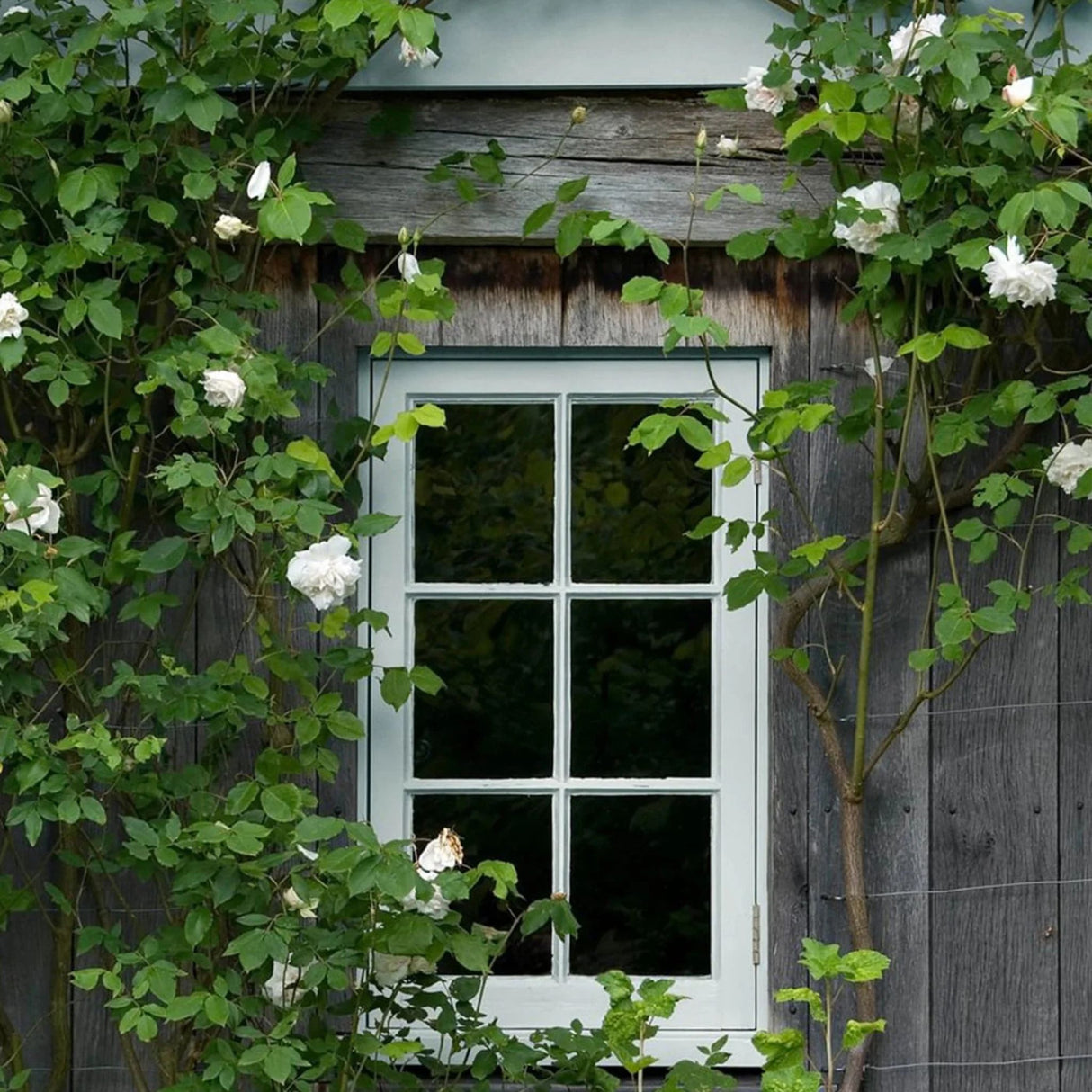 Mylands Grail JB.02 Paint