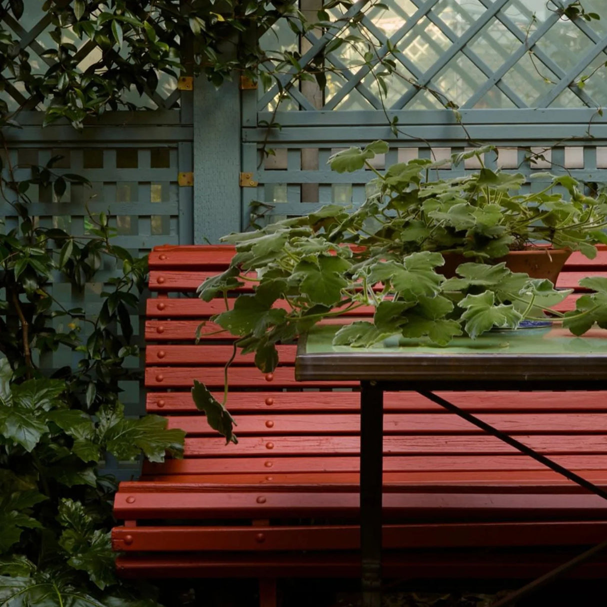 Mylands Overall BH.10 Paint