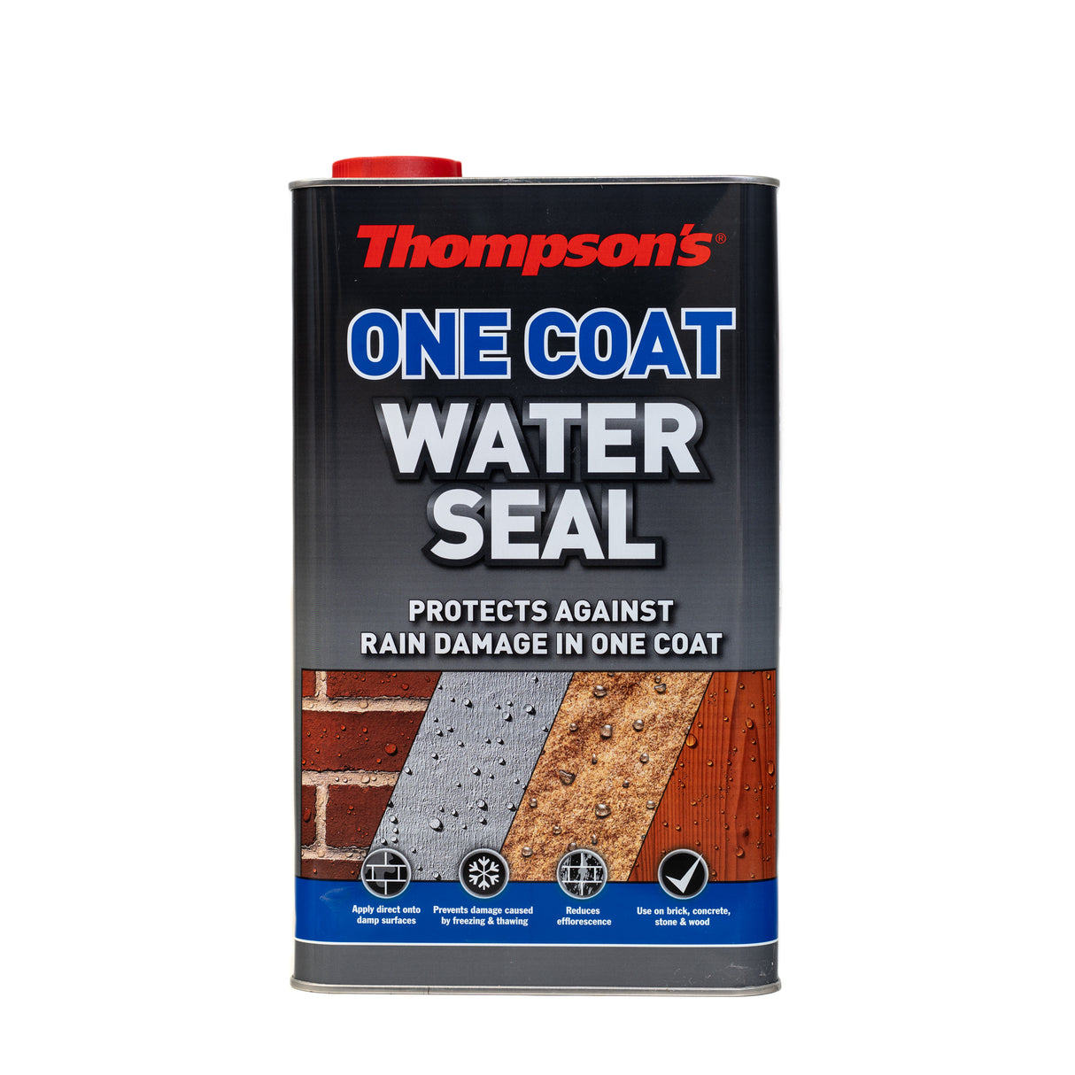 Thompson’s Water Seal One Coat Clear 5 Litres