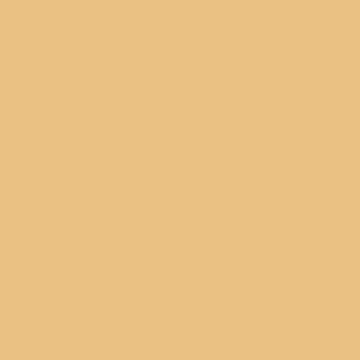 Mylands Wall Primer 1009 Yellow
