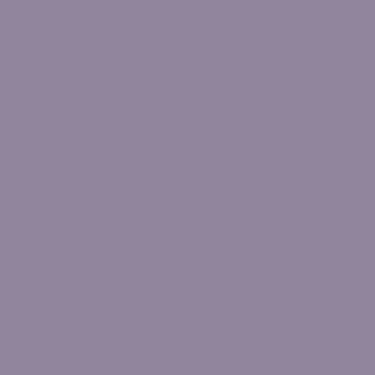 Mylands Wall Primer 1011 Purple