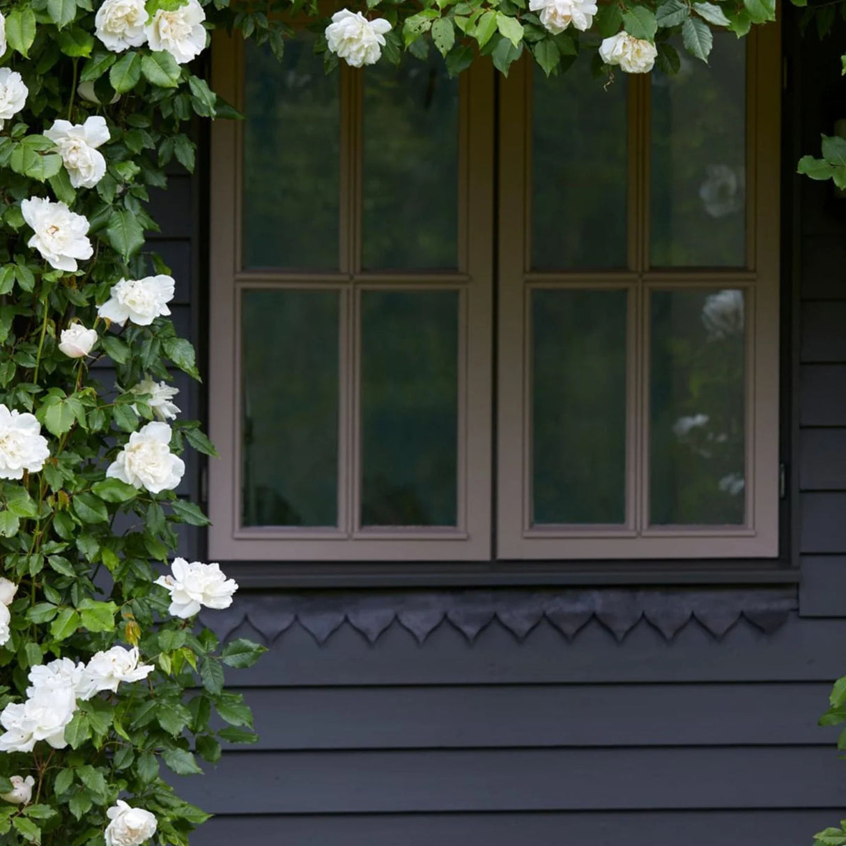 Mylands Cragside JB.10 Paint