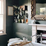 Mylands Mad About The Bathroom Paint