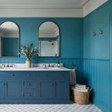 Mylands Film, TV & Theatre (FTT) Paint