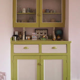 Mylands New Lime No.149 Paint