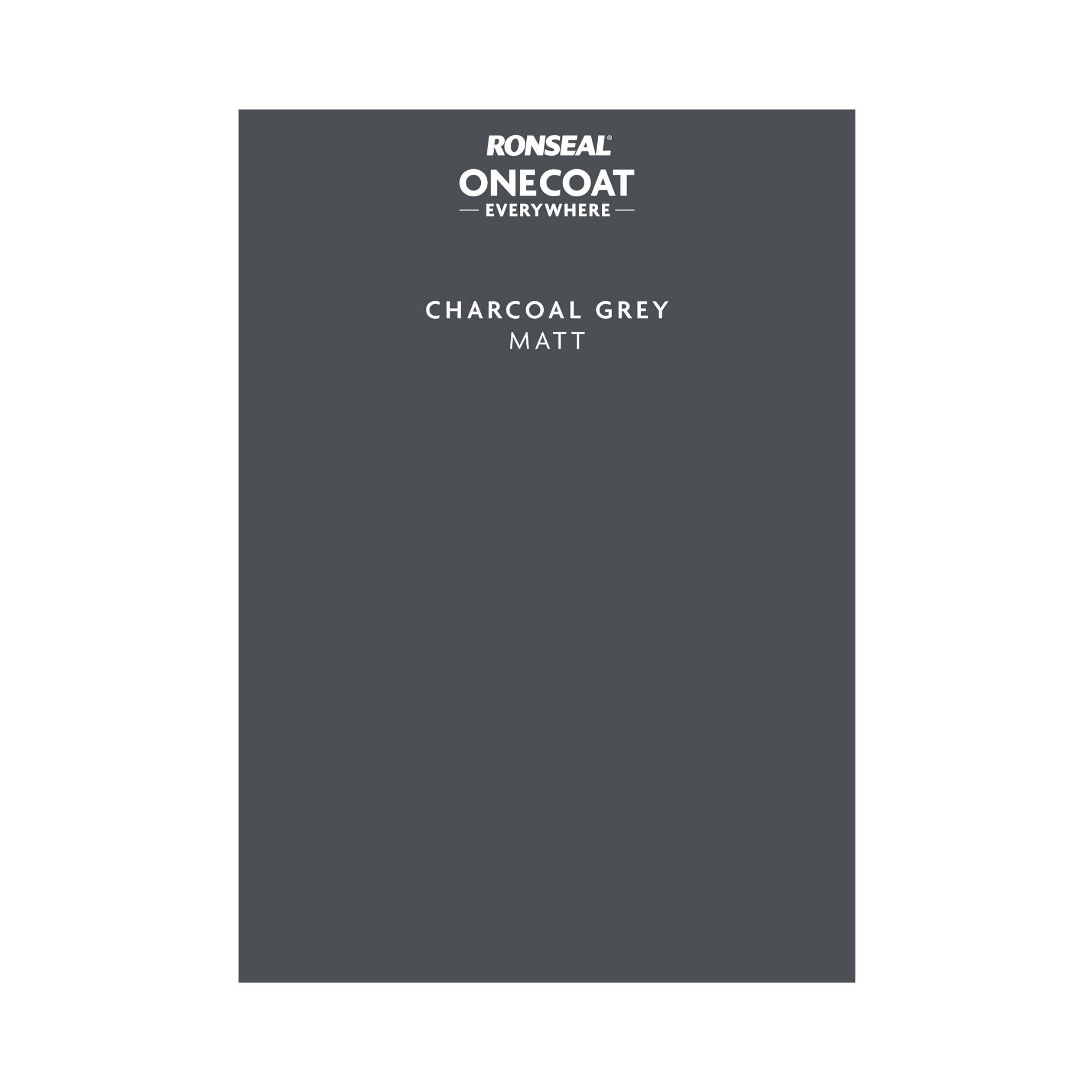 Ronseal One Coat Everywhere Paint Charcoal Grey – Restorate