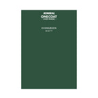 Ronseal One Coat Everywhere Paint Evergreen Colour Card