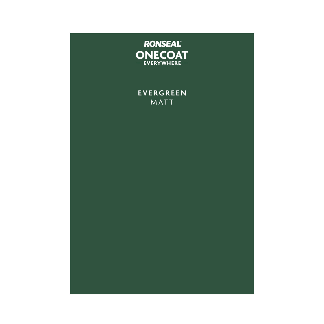 Ronseal One Coat Everywhere Paint Evergreen