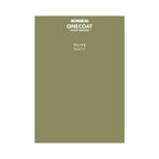 Ronseal One Coat Everywhere Paint Olive Colour Card
