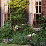 Mylands Sargasso JB.04 Paint