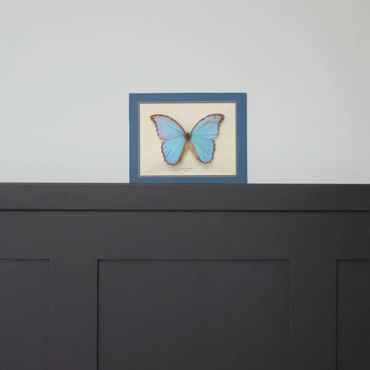 Mylands St Clement No.11 Paint