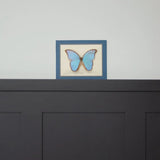 Mylands St Clement No.11 Paint