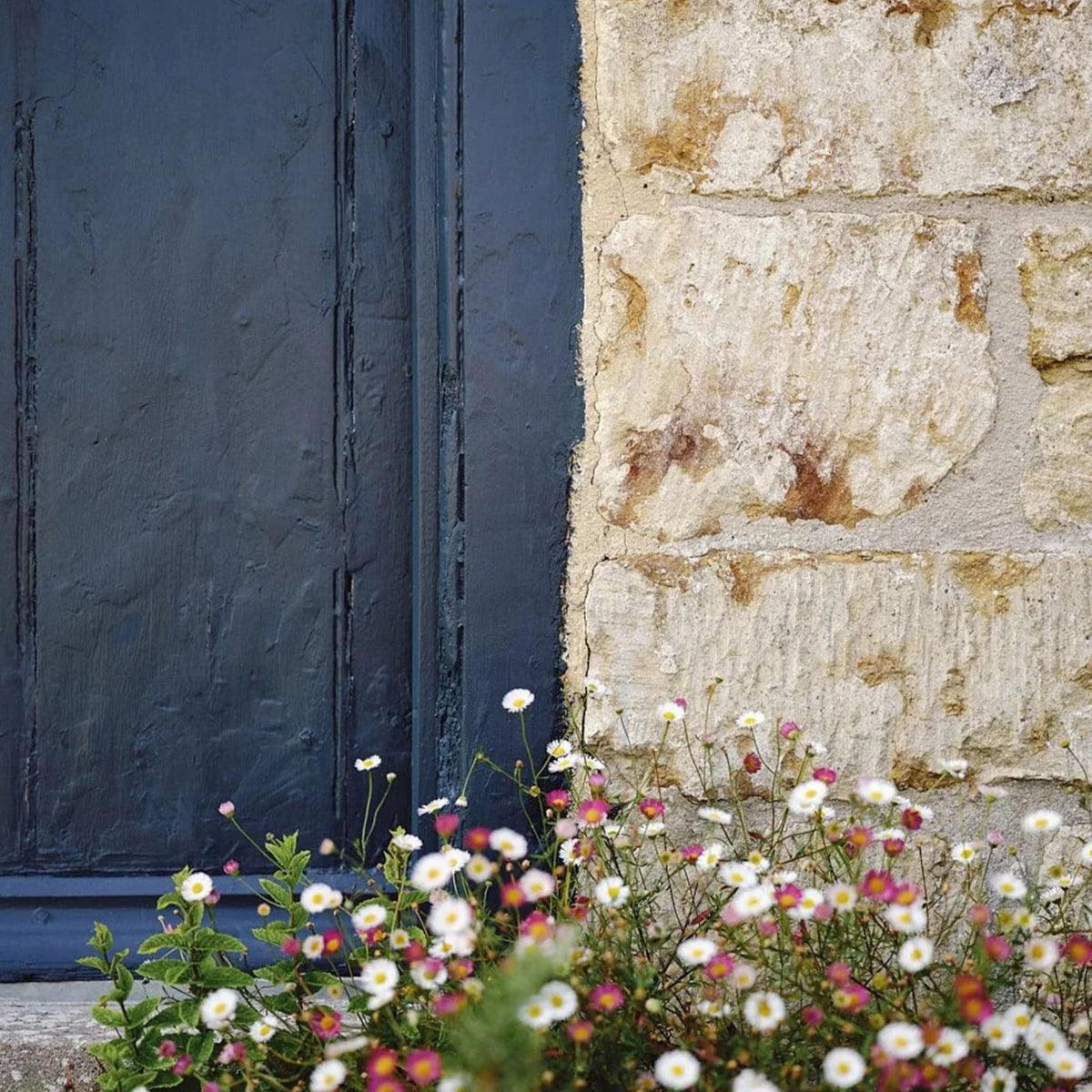 Close up the corner of an exterior door painted in Mylands Beata Heuman Collection Thunder