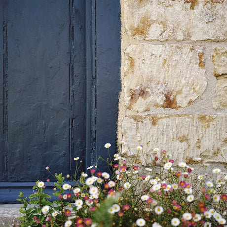 Close up the corner of an exterior door painted in Mylands Beata Heuman Collection Thunder