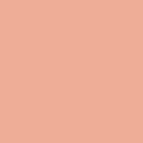 Mylands Wall Primer 1005 Orange colour swatch