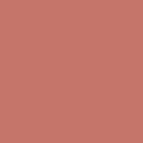Mylands Wall Primer 1006 Red colour swatch